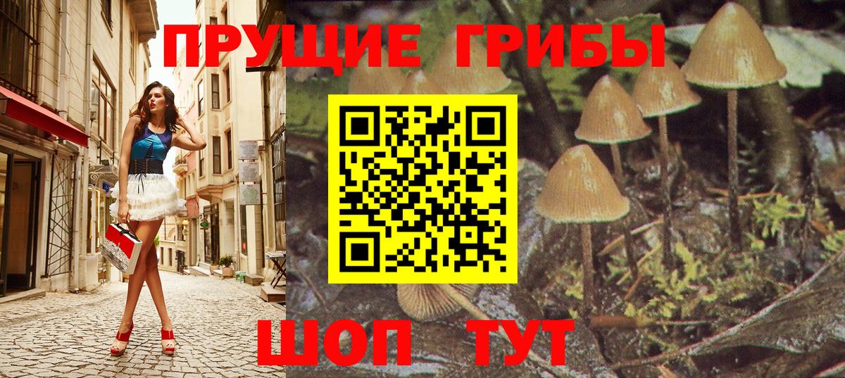 Псилоцибиновые грибы мухоморы Алексин