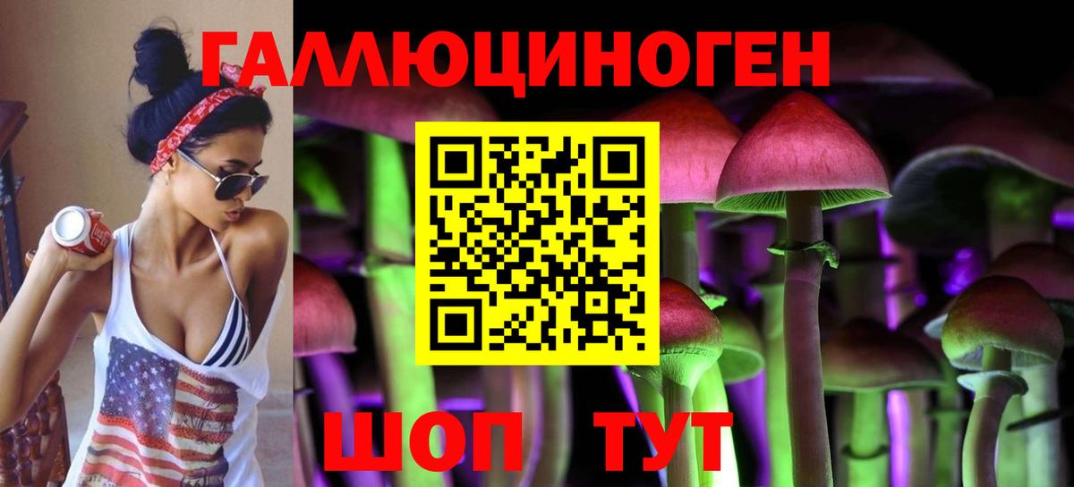 продажа наркотиков  Вход с VPN  Алексин  Псилоцибиновые грибы Psilocybine cubensis 